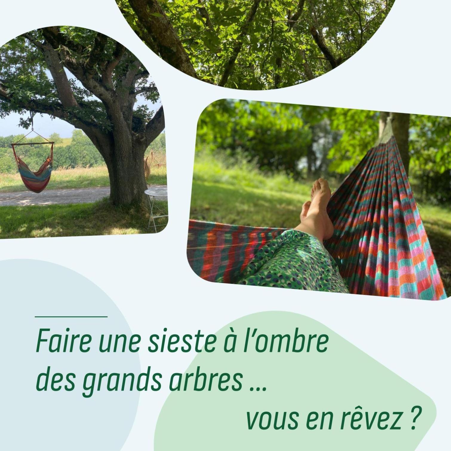 Le Repaire De La Reveuse Bed & Breakfast Saint-Frajou ภายนอก รูปภาพ